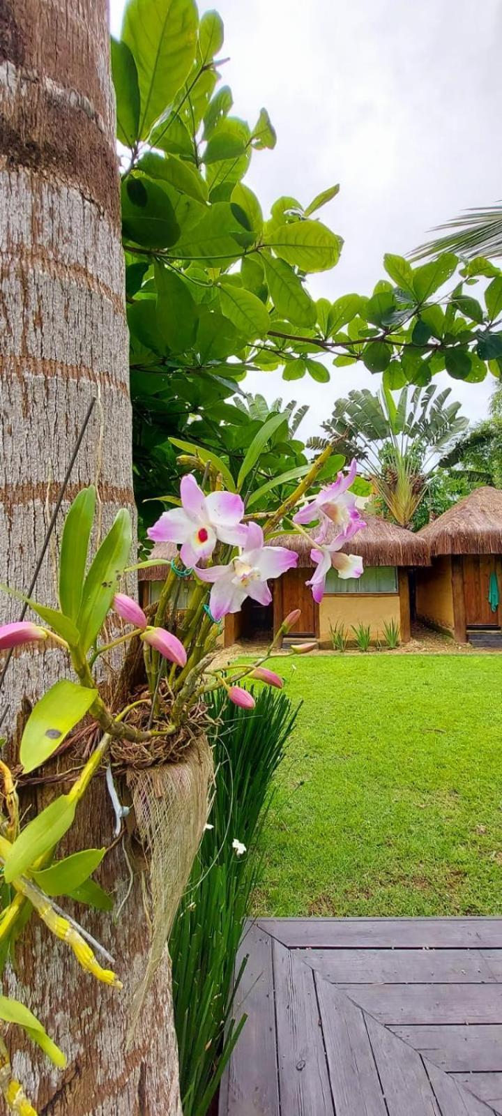 Pousada Bangalô de Barro Paraty Exterior foto